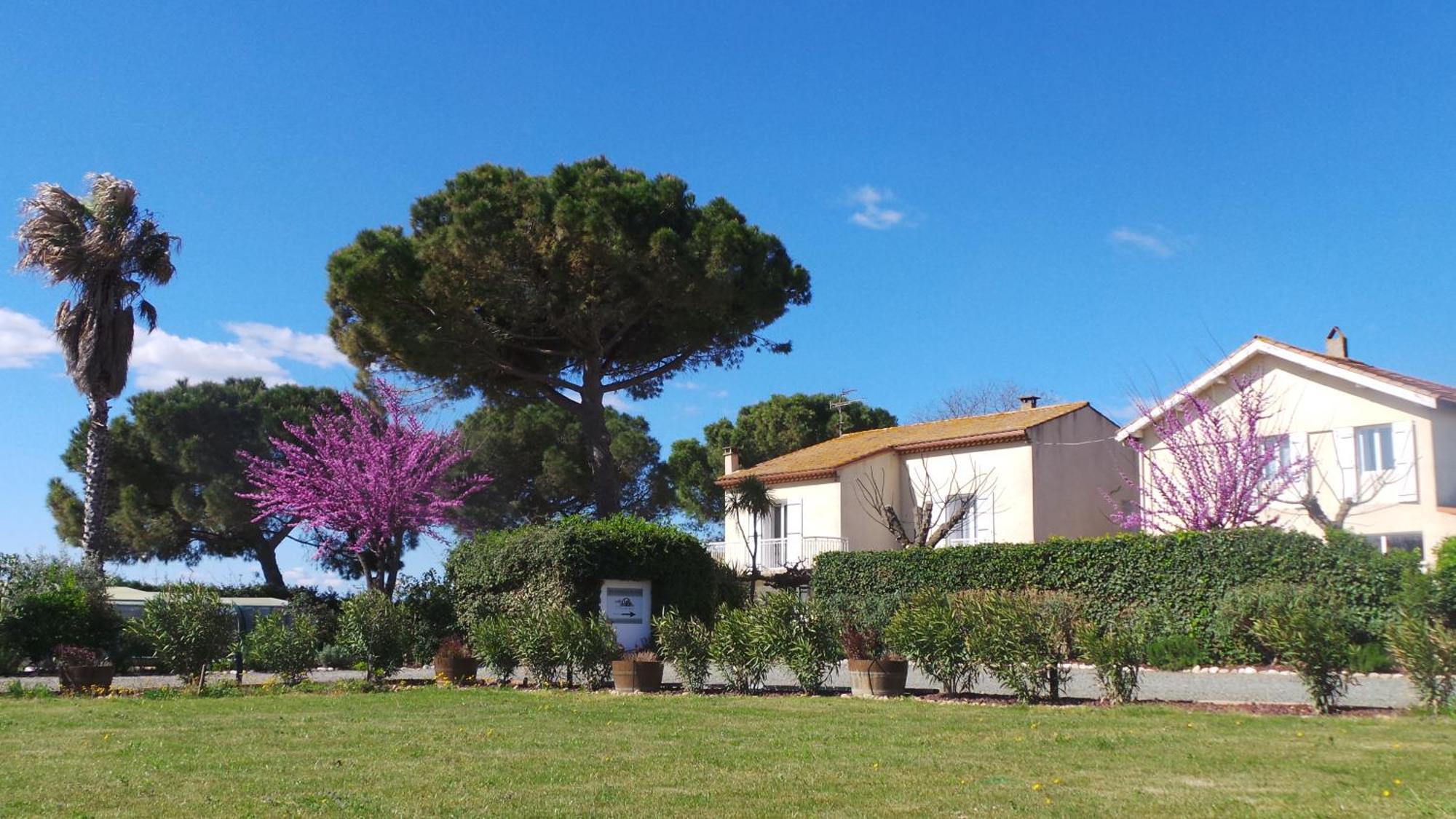A L'Oree Des Vignes Montady Exteriör bild