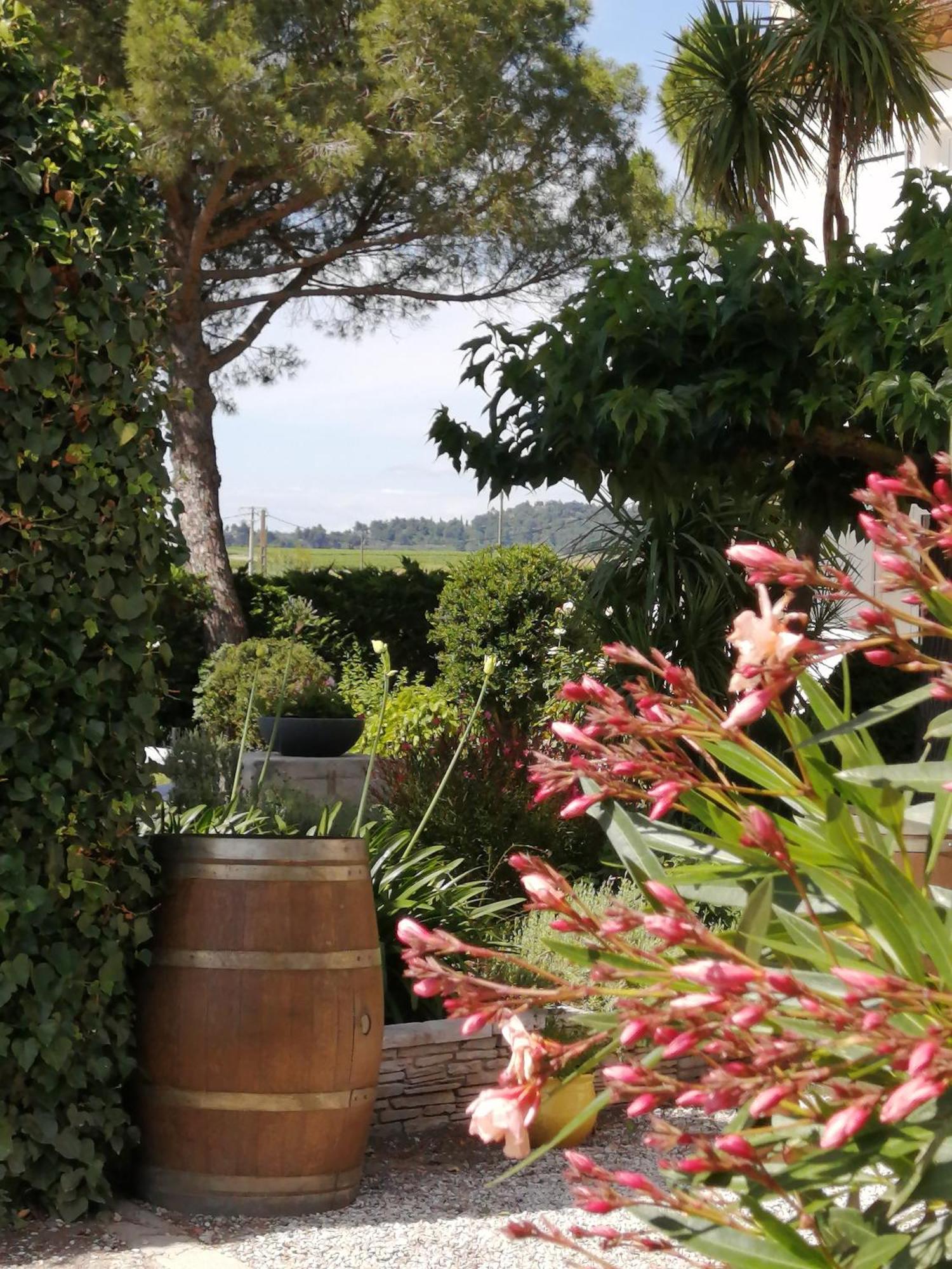 A L'Oree Des Vignes Montady Exteriör bild